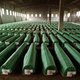 Uitspraak Srebrenica: Het ging om erkenning, niet om geld