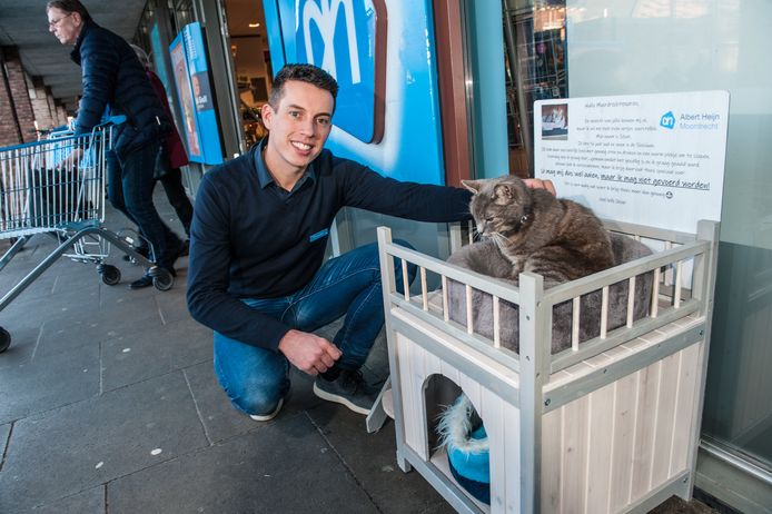 Archieffoto. Bedrijfsleider Mark van Houwelingen van de plaatselijke Albert Heijn met poes Silver die twee mandjes had bij de ingang van de supermarkt in Moordrecht.