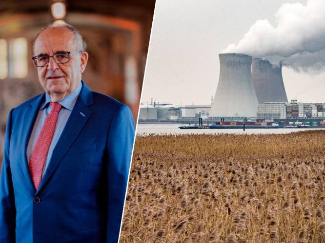 Energiespecialist professor Ronnie Belmans na akkoord kernuitstap: “Vlaamse regering moet nu tandje bijsteken”
