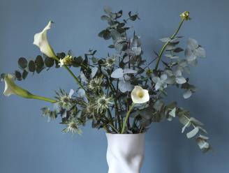 Een origineel boeket met distels? “Deze bloemen zijn het hele jaar door beschikbaar én passen mooi samen”