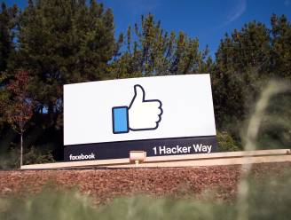 "Sociale netwerken kunnen gevaar voor democratie inhouden", zegt Facebook
