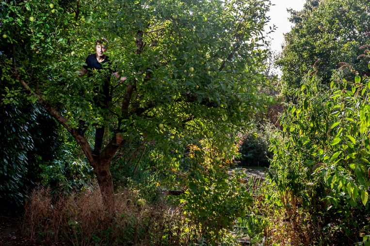 Koos Dijksterhuis schrijft al tien jaar het natuurdagboek in Trouw. Beeld Reyer Boxem