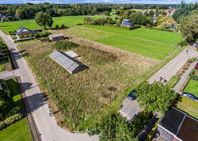 Dassen, marters en vogels bedreigen woningbouw Overasselt: ‘Project moet wel betaalbaar blijven’