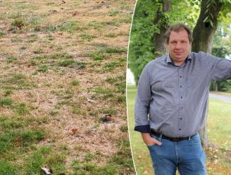 Zo herstel je een dor gazon in het najaar: “nu krijgt gras geen concurrentie van onkruid”