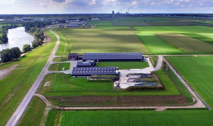 Overdiepse polder Waspik
