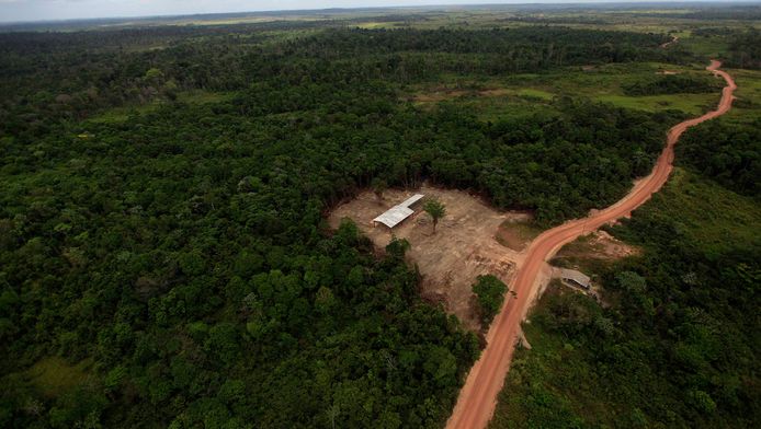 Een illegale houtzagerij in de wouden van Brazilië.