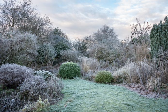 Een tuin in de winter kun je juist nú aanpakken.