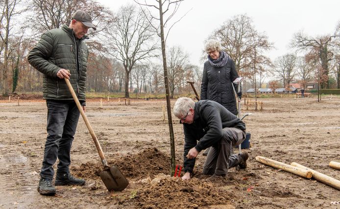 Ton en Ria Oenema bij het planten van de boom voor Thomas Oenema in het Vrijheidsbos Geesteren. Op de knieën hovenier Johan Schutte.