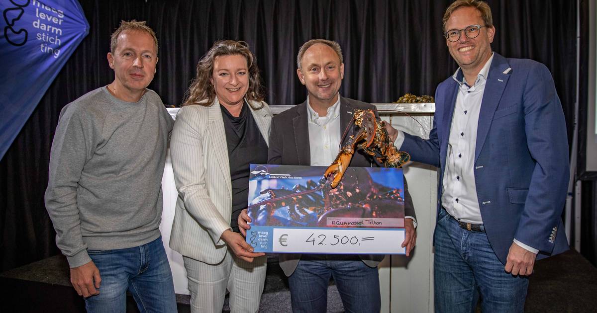 Einde aan visveiling in Colijnsplaat. Garnalen en Oosterscheldekreeft verhandeld in Stellendam