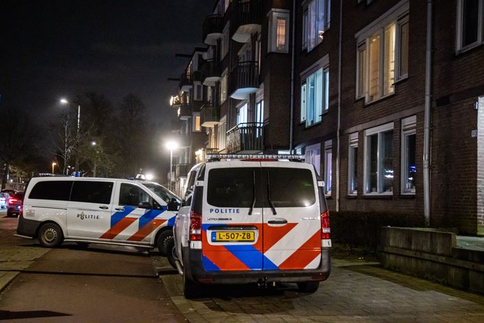Amsterdamse 'politiekat' wereldwijd viral: 'Wordt herkend op straat