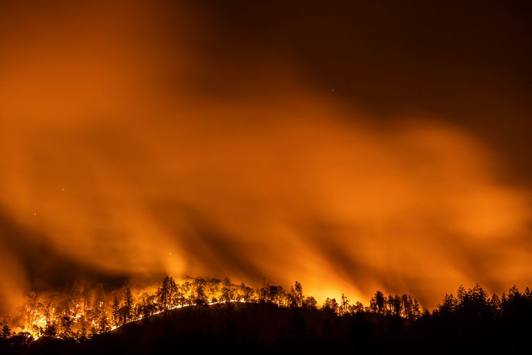 Ook in de Amerikaanse staat Californië, zoals hier in Lakehead, woeden talloze branden. (01/07/2021) Beeld Photo News