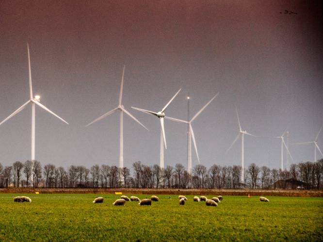 Raad Oss stemt na marathonzitting in met windpark in de Lithse polder