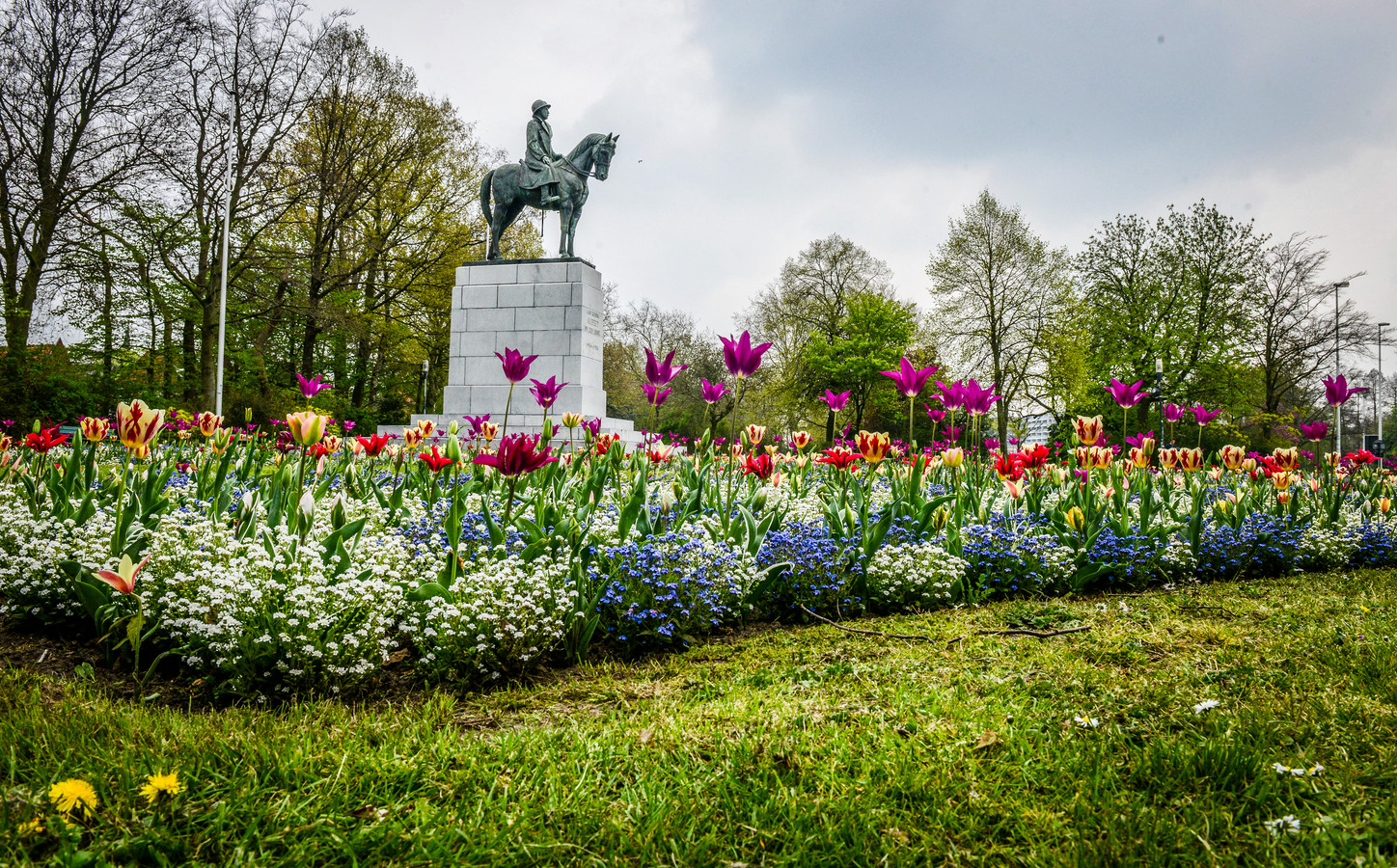 IN BEELD. Brugge nooit zo kleurrijk: 50.000 bloembollen extra | Foto |  pzc.nl