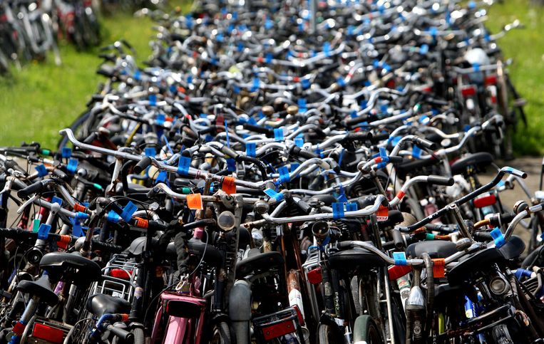 uit Zielig Onderwijs Fietsendief pakt het groter aan: bakfietsen en e-bikes voor de export