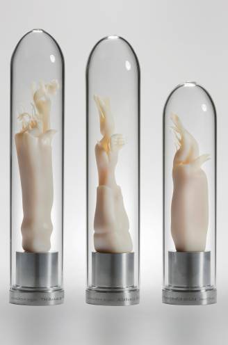 Geen enkel orgaan is zo divers als de penis: “Er zijn er met stekels, flapjes, en zelfs schepjes”