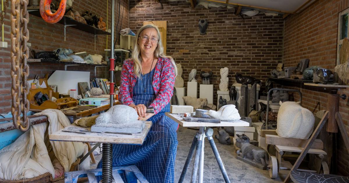 Beelden maken om bewustzijn te bevorderen: Bernadette uit Heesbeen draagt steentje bij