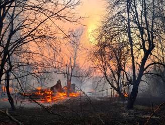 Oekraïense brandweer boekt vooruitgang bij blussen bosbrand rond Tsjernobyl