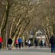 Het weer: zachter, maar overwegend grijs