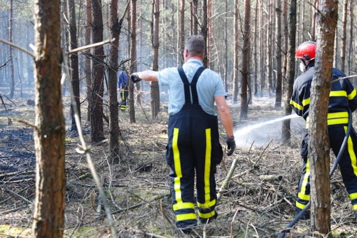 Natuurbrand woedt bij landgoed De Utrecht in Esbeek