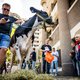 Wat is de uitweg uit de boerenprotesten? ‘We gaan letterlijk en figuurlijk een hoge prijs betalen’