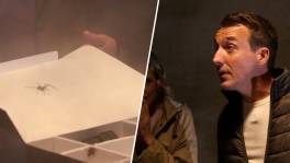 Is Andy na hypnose verlost van zijn spinnenfobie?