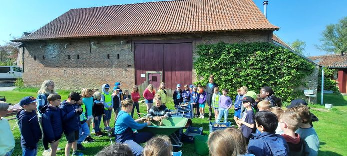 Zottegem: VBS Grotenberge organiseert buitenlesdag.