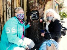 Doodgeschoten apen Karibuna en Mike herdacht met monument in DierenPark Amersfoort: ‘Het is heel zwaar geweest’