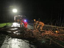Storm Bella beperkt zich tot omgewaaide bomen en verwaaide takken in de regio