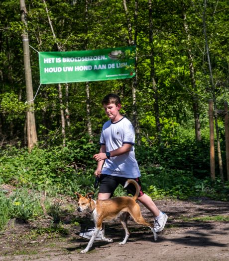 Honden aan de lijn: Helmond hoopt met publieksactie de wilde dieren in het bos te beschermen