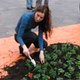 Guerrilla Gardening