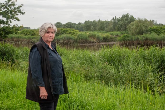 Martine is knijten beu en daagt Vlaamse Waterweg voor vredegerecht ...