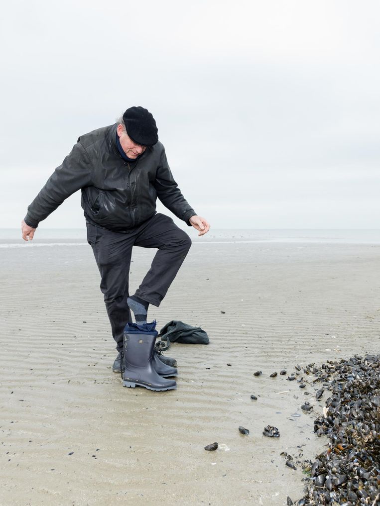 Schep Oogverblindend oogopslag Met de zeespiegel is eigenlijk niets aan de hand | De Volkskrant