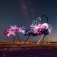 Arne Quinze stelt lichtsculptuur tentoon in Arabische woestijn