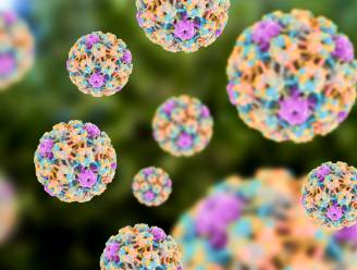 Onderzoekster geneest HPV bij 29 vrouwen