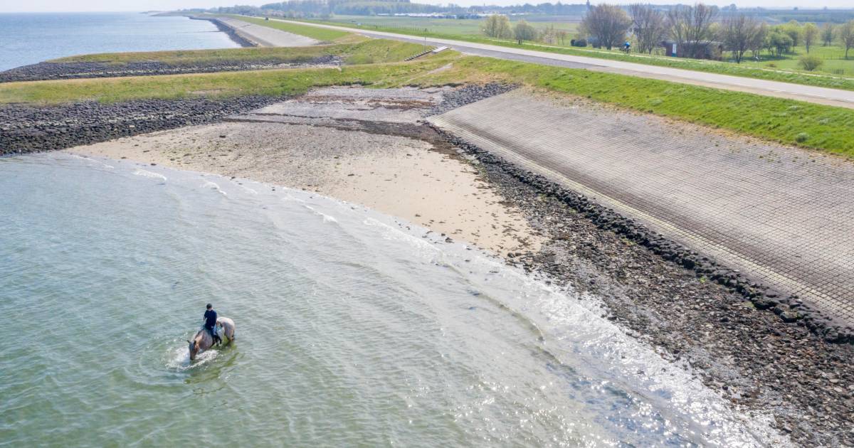 Toch nog een Belg in de Oosterschelde bij Wemeldinge