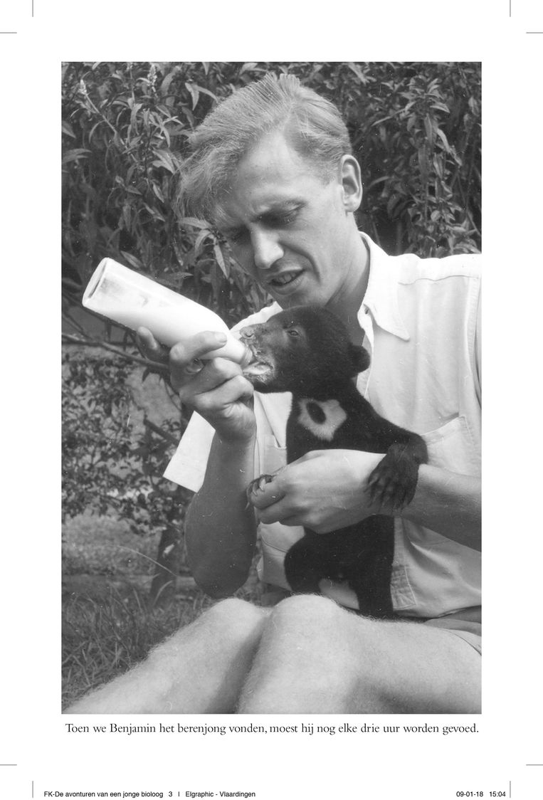 Attenborough voedt een honingbeer, die zijn moeder is kwijtgeraakt, in Indonesië. Beeld x