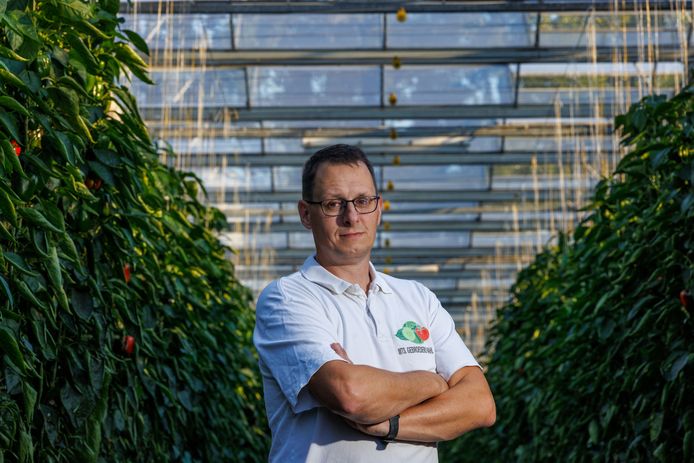 Grote zorgen voor Kees Vahl. De komkommerteler uit IJsselmuiden doet mee aan een landelijke actie om aandacht te vragen voor de problemen in de glastuinbouw.