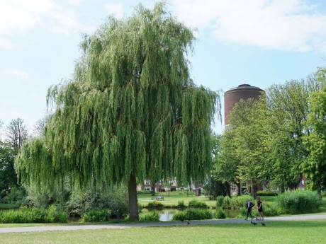 Getver, druppel op je hoofd! Hier komen deze mysterieuze druppels vandaan