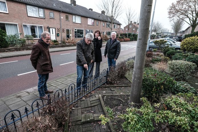 Bewoners van de Kerkstraat aanschouwen de schade die de boomwortels in de voortuinen aanrichten.