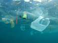 De ‘Great Pacific Garbage Patch’ creëert nieuwe drijvende ecosystemen