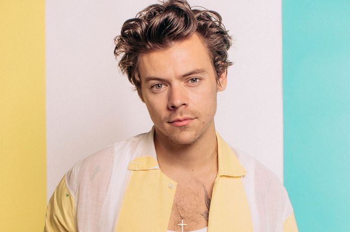 Harry Styles helpt fan uit de kast te komen tijdens zijn concert |  Celebrities | hln.be