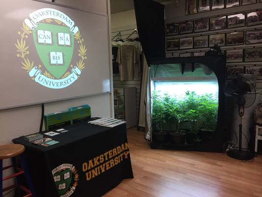 Leslokaal Oaksterdam University.