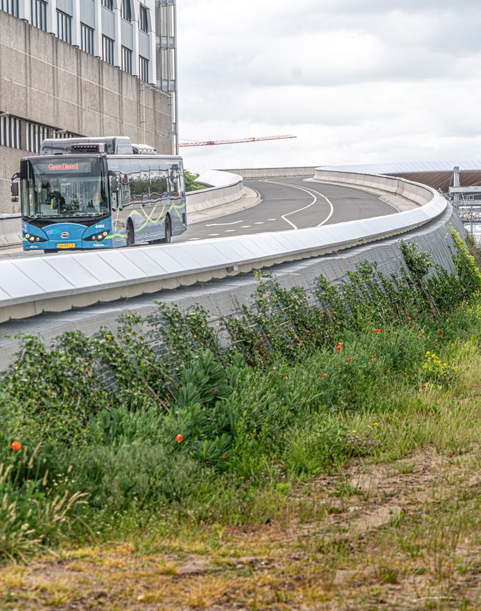 De Schuttebusbrug in Zwolle vertoont kleine scheurtjes Na de oplevering zijn scheurtjes in het beton ontdekt. Reparatie is nodig om verdere schade te voorkomen.