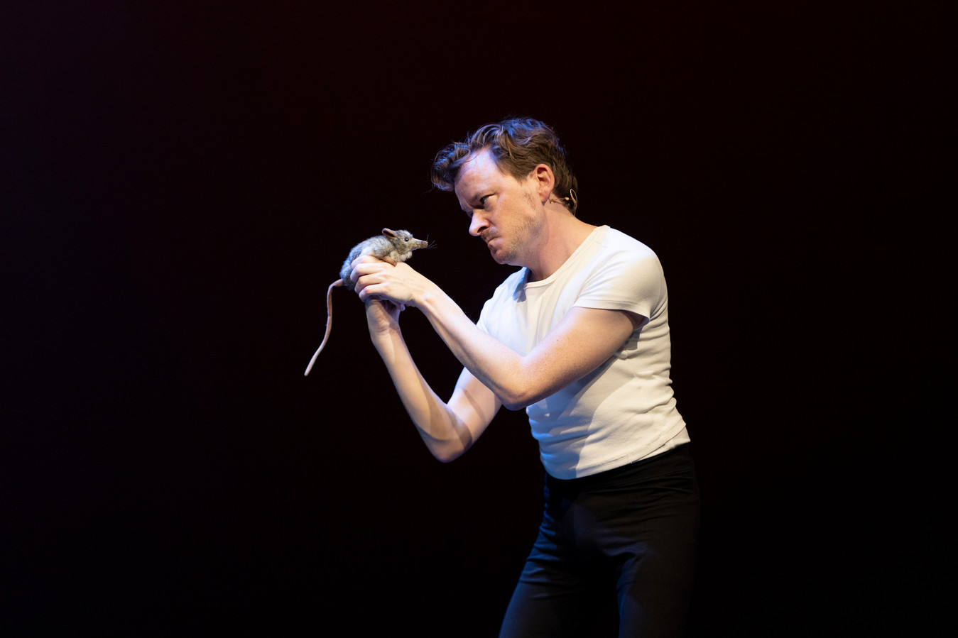 Wart Kamps in duet met een theatermuis