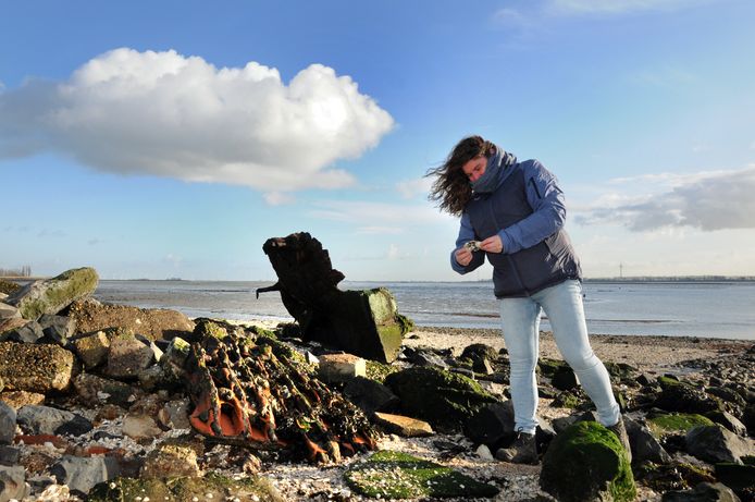 Digna Mielard wandelt graag en doet aan mudlarking, jutten naar van alles en nog wat, zoals hier op de strekdam van Viane, bij Ouwerkerk.