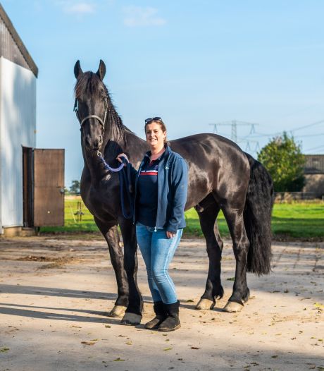 Sandra (27) is zeven dagen per week bij haar paard te vinden: ‘Maar niet mijn hele leven draait om paarden’