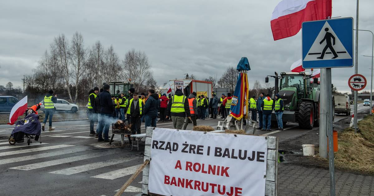 European farmers demand stricter restrictions on imports from Ukraine  outside