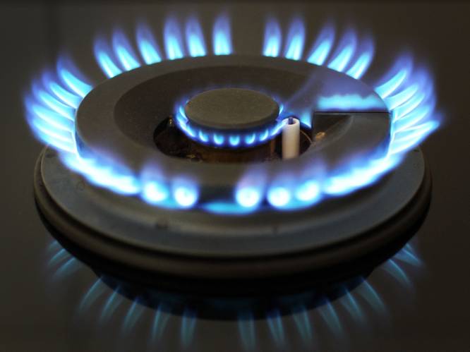 Kan een gastaks van 500 euro bij ons ook werken? Enige manier om te doen bezuinigen is ons raken in portefeuille, volgens experts 