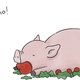 Liz Climo