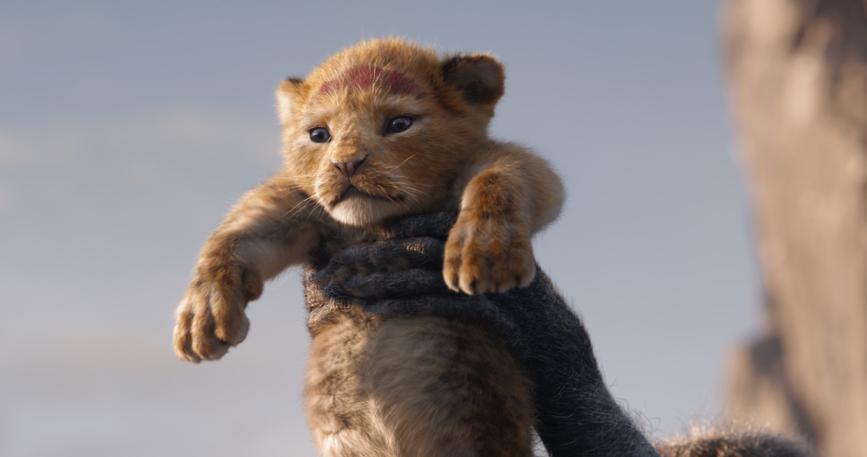 Extractie Versnel mooi De epiek van The Lion King blijft in de reallifeversie overeind: de film  haalt alles uit de grootste spektakelscènes